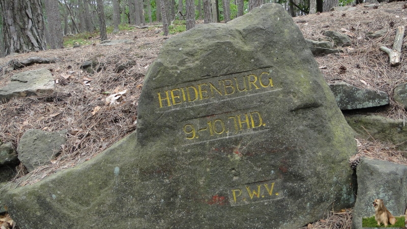 Ritterstein Nr. 257-1b Heidenburg 9. - 10. Jahrhundert.JPG - Ritterstein Nr.257 Heidenburg